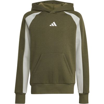 Seasonal Essentials Colorblock Kids Hoodie