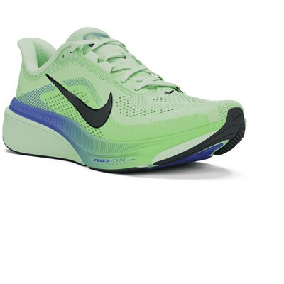 AIR ZOOM PEGASUS 42