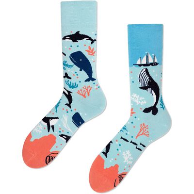 Ocean Life