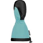 Wes R-TEX XT Mitten