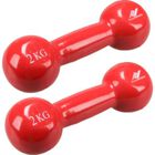 Fausthanteln aus Gusseisen 2kg Fausthanteln aus Gusseisen 2kg