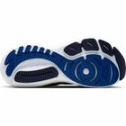 Glycerin GTS 21 M Glycerin GTS 21 M