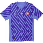 Schweiz 2024 SFV GK Jersey SS Replica Schweiz 2024 SFV GK Jersey SS Replica