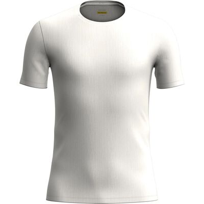 M Anatomica SS Crewe