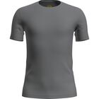 M Anatomica SS Crewe