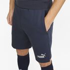 teamFINAL Casuals Short