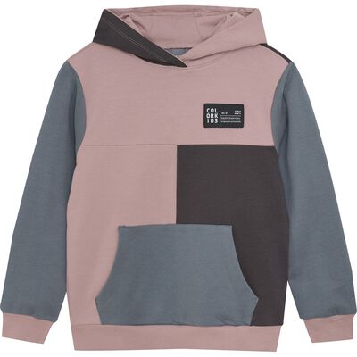 Sweat Hoodie Colorblock