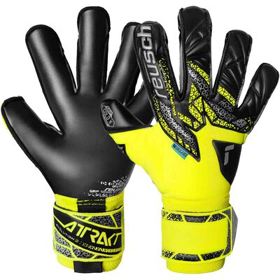 Attrakt Gold X Evolution