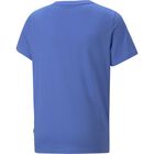 Ess Block Tee B