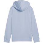 ESS No. 1 Logo Hoodie TR G