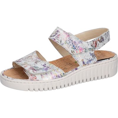 955001 194 H-Willow