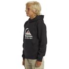 Big Logo Hoodie Youth