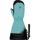 Wes R-TEX XT Mitten