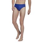 Classic 3-Stripes Swim Trunks