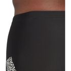 Branded Swim Boxers