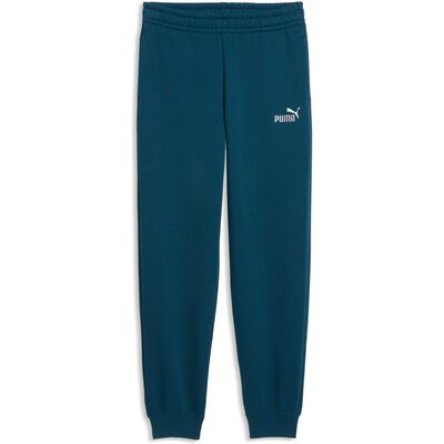 ESS 2 COLOR No. 1 Logo Sweatpants FL B