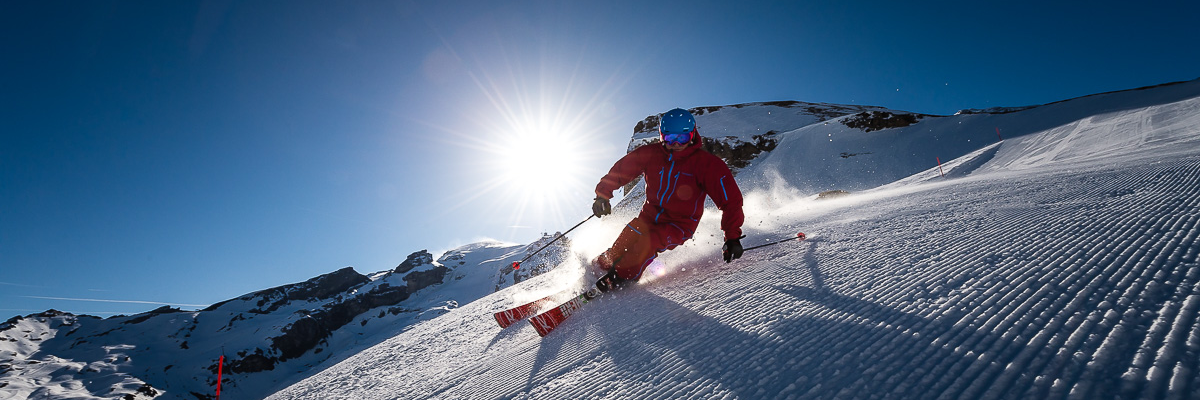 Skier Skier