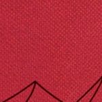 WindBurner Personal Stove System