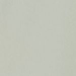 Woman Jacket Fix Hood 36A5116