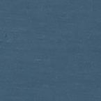 Women&rsquo;s Lightning Alpine S/S