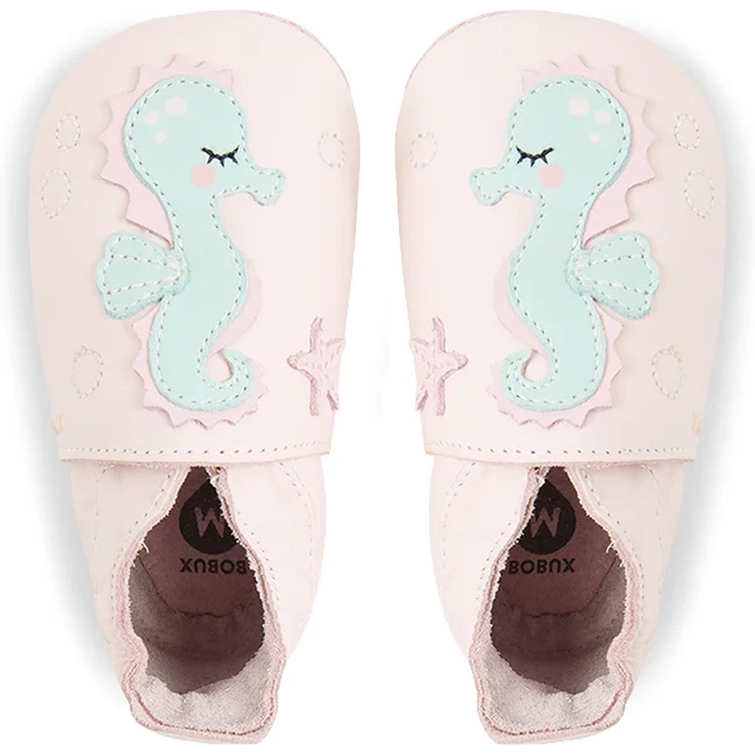 Seahorse Seahorse