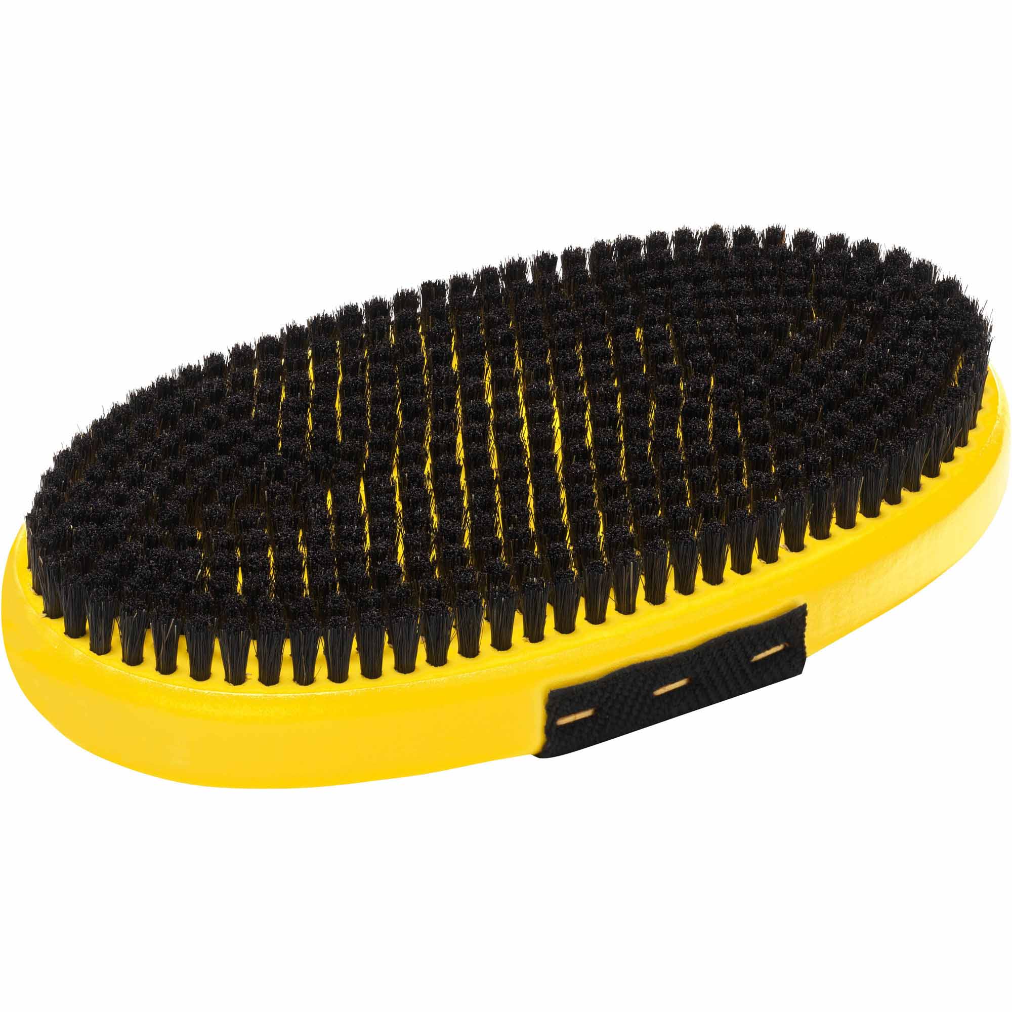 Base Brush oval