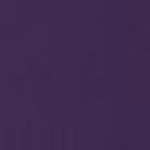 Brandy 1109 Pants 1/1