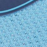 Microspec Advance