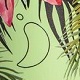 Tropical 500ml