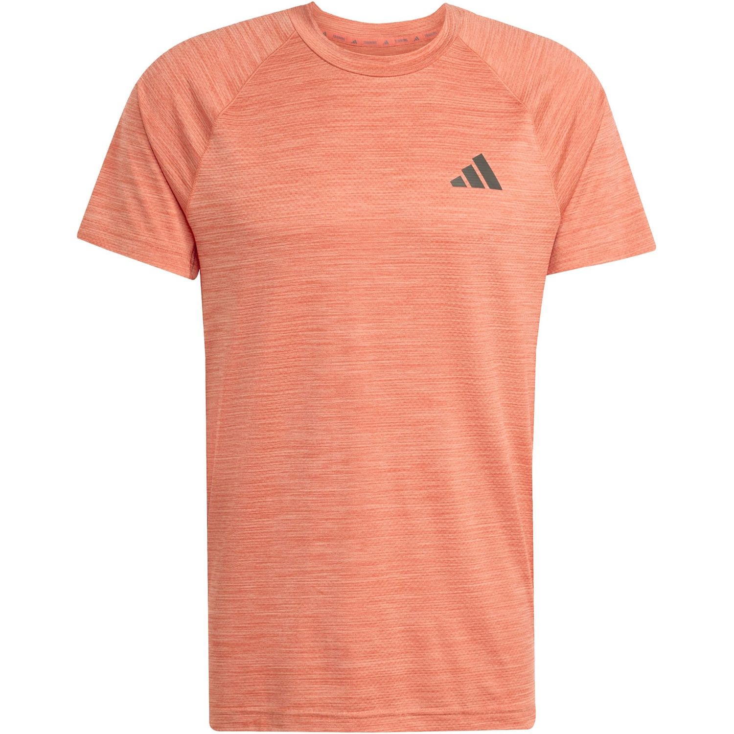 Gym+ T-Shirt Gym+ T-Shirt