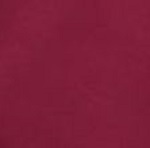 W Shred Insulated Pants