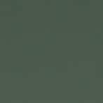 Fornix MIPS