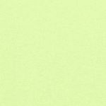 Nike Tempo Women"s Dri-FIT Sho