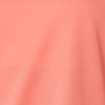 FUJITRAIL LOGO SS TOP Lady