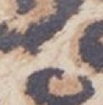 5392