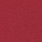 Ev Comp Logo SS Youth