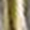 Jetstream 78