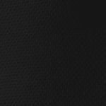 W SINGLET TRANSTEX light