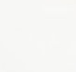 Climb Flower T-Shirt W