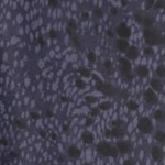 W Tropical Speed Tight - HW 7/8 - AOP