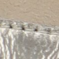 R5153 Rosa-H