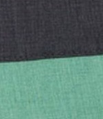 HELI beachshort