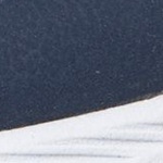 Elite Sport Pulse