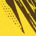 BVB Home Jersey Replica Jr with Sponsor