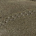 Contour Foam-Natural Ease