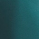 Motion Bike Short EMEA