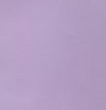 INSULATED PANTS ALPINE WOMEN