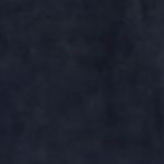 Plus Size Ess 16" Watershorts