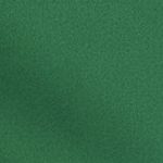 ESSENTIAL 5" VOLLEY SHORT