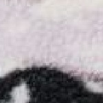 Helvetia II Printed Cropped half Snap